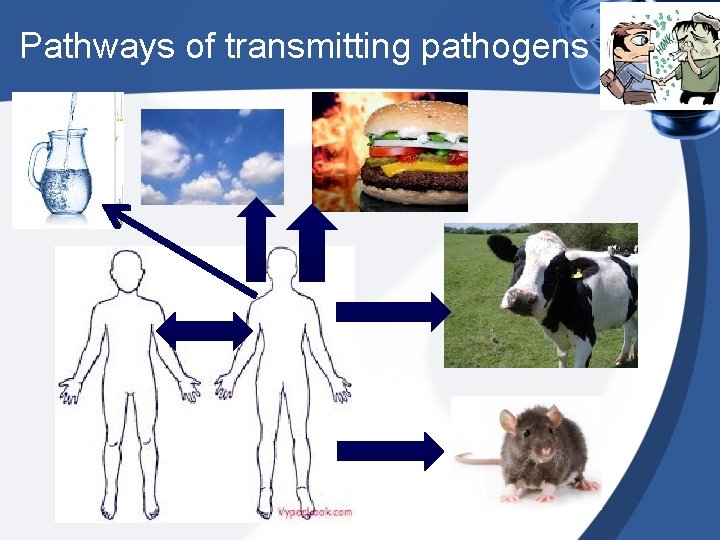 Pathways of transmitting pathogens Pathways of transmitting pathogens