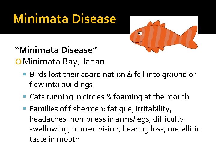 Minimata Disease “Minimata Disease” Minimata Bay, Japan Birds lost their coordination & fell into