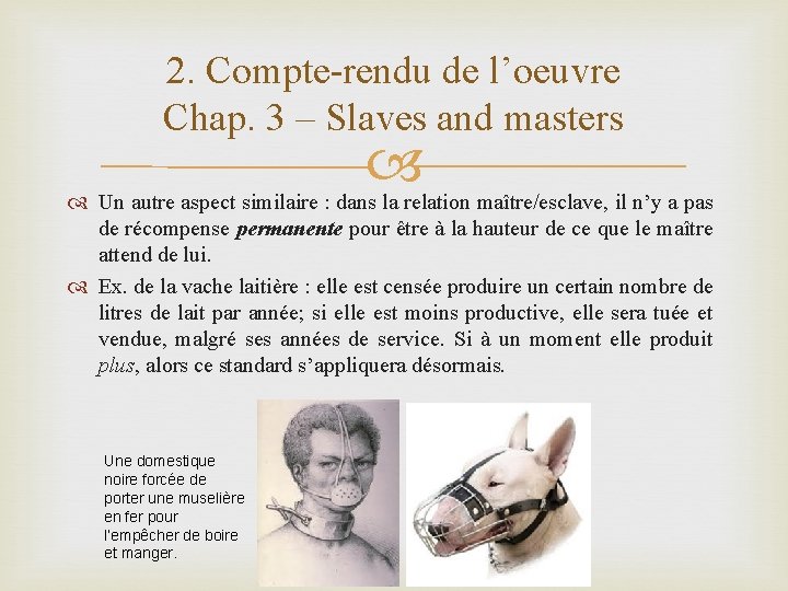 2. Compte-rendu de l’oeuvre Chap. 3 – Slaves and masters Un autre aspect similaire