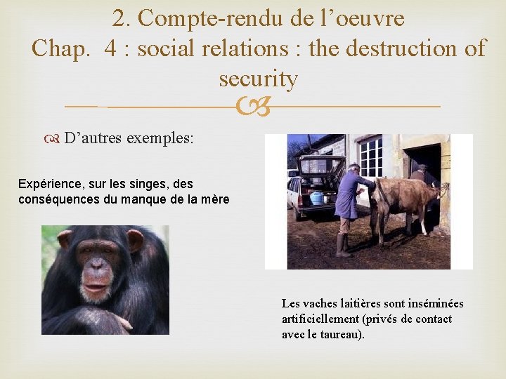 2. Compte-rendu de l’oeuvre Chap. 4 : social relations : the destruction of security