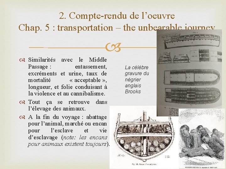 2. Compte-rendu de l’oeuvre Chap. 5 : transportation – the unbearable journey Similarités avec