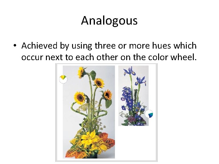 Analogous • Achieved by using three or more hues which occur next to each