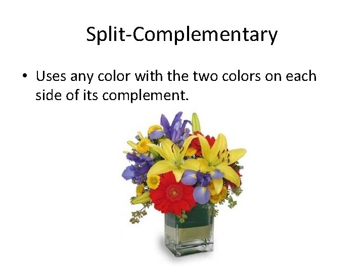 Split-Complementary • Uses any color with the two colors on each side of its