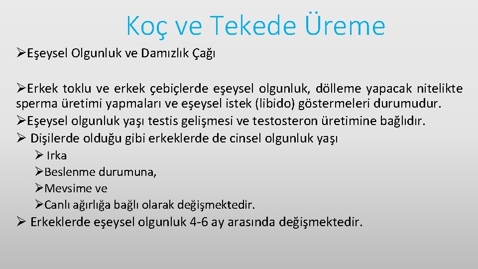 Koç ve Tekede Üreme ØEşeysel Olgunluk ve Damızlık Çağı ØErkek toklu ve erkek çebiçlerde