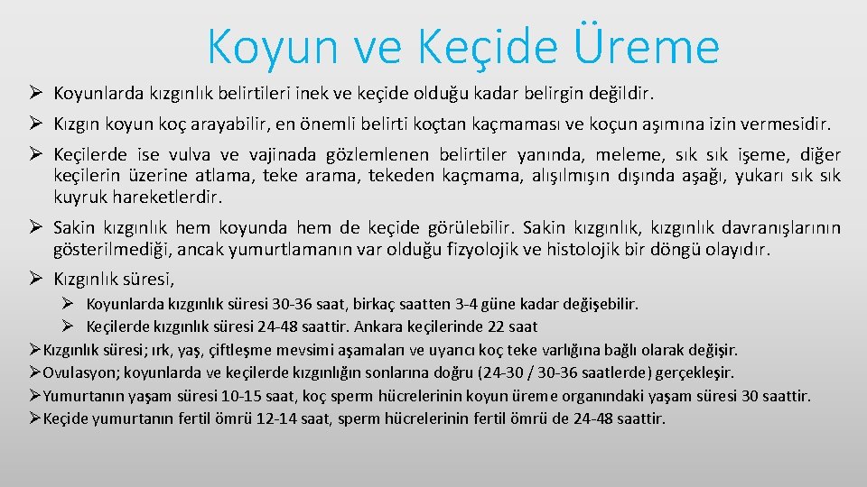 Koyun ve Keçide Üreme Ø Koyunlarda kızgınlık belirtileri inek ve keçide olduğu kadar belirgin
