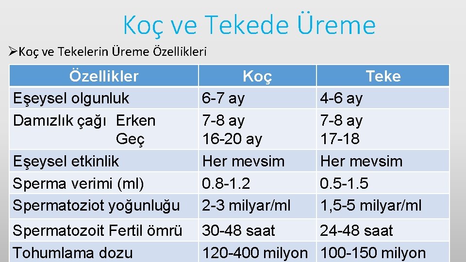 Koç ve Tekede Üreme ØKoç ve Tekelerin Üreme Özellikleri Özellikler Eşeysel olgunluk Damızlık çağı
