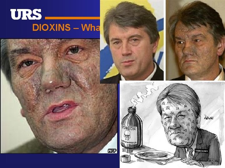 DIOXINS – What can they do? 