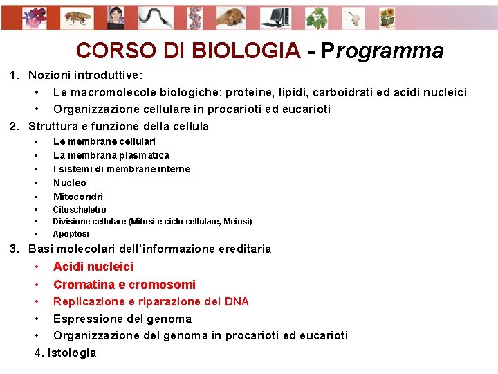 CORSO DI BIOLOGIA - Programma 1. Nozioni introduttive: • Le macromolecole biologiche: proteine, lipidi,