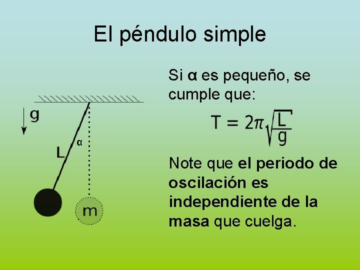 El péndulo simple Si α es pequeño, se cumple que: α Note que el