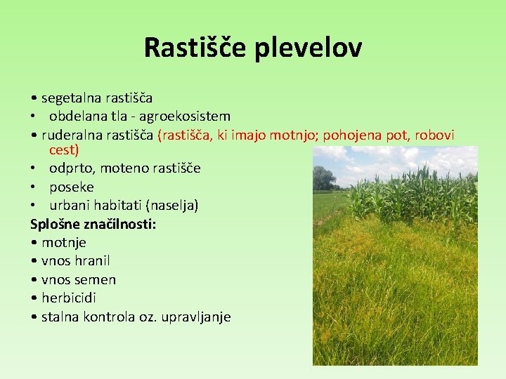 Rastišče plevelov • segetalna rastišča • obdelana tla - agroekosistem • ruderalna rastišča (rastišča,