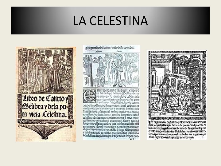 LA CELESTINA 