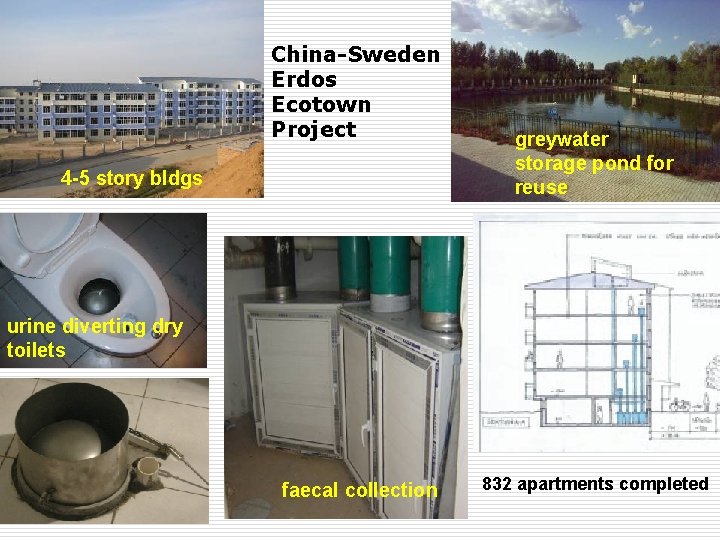 China-Sweden Erdos Ecotown Project 4 -5 story bldgs greywater storage pond for reuse urine