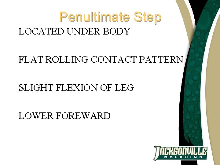 Penultimate Step LOCATED UNDER BODY FLAT ROLLING CONTACT PATTERN SLIGHT FLEXION OF LEG LOWER