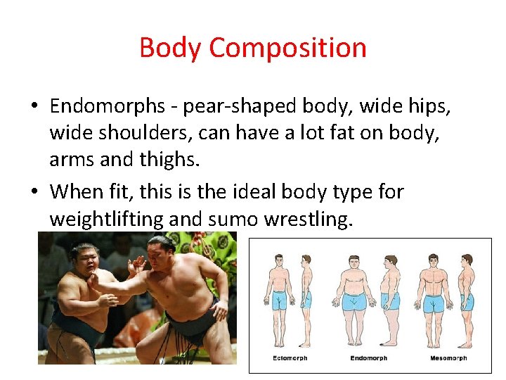 Body Composition • Endomorphs - pear-shaped body, wide hips, wide shoulders, can have a Body Composition • Endomorphs - pear-shaped body, wide hips, wide shoulders, can have a