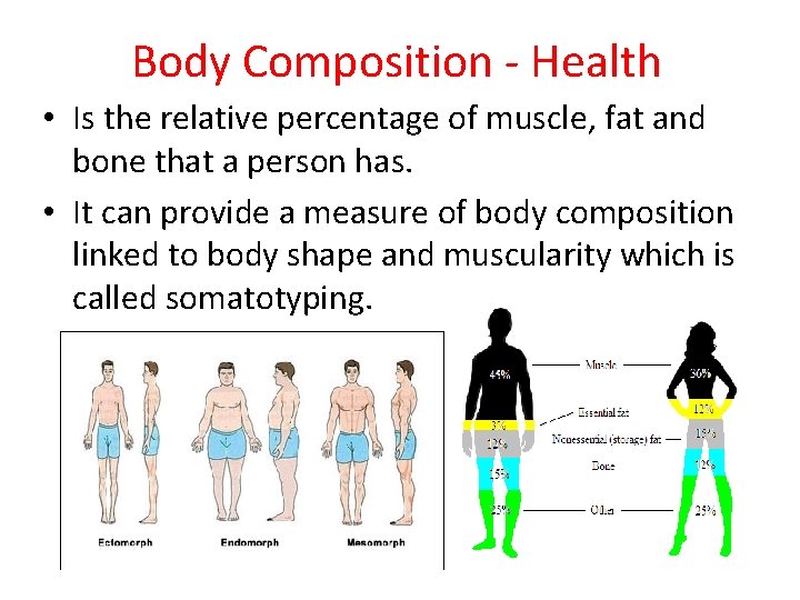 Body Composition - Health • Is the relative percentage of muscle, fat and bone Body Composition - Health • Is the relative percentage of muscle, fat and bone