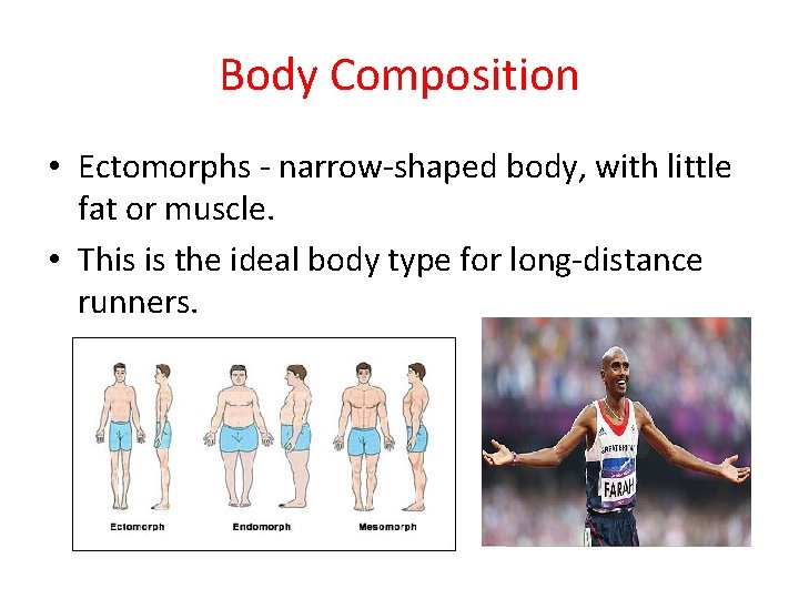 Body Composition • Ectomorphs - narrow-shaped body, with little fat or muscle. • This Body Composition • Ectomorphs - narrow-shaped body, with little fat or muscle. • This