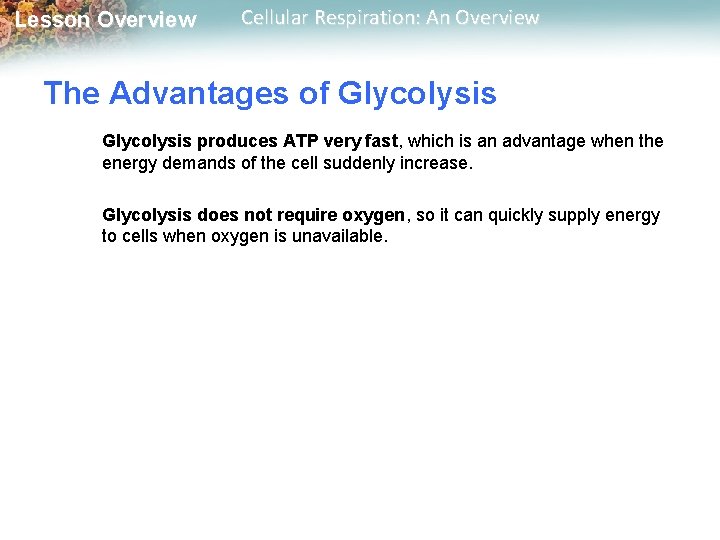 Lesson Overview Cellular Respiration: An Overview The Advantages of Glycolysis produces ATP very fast,