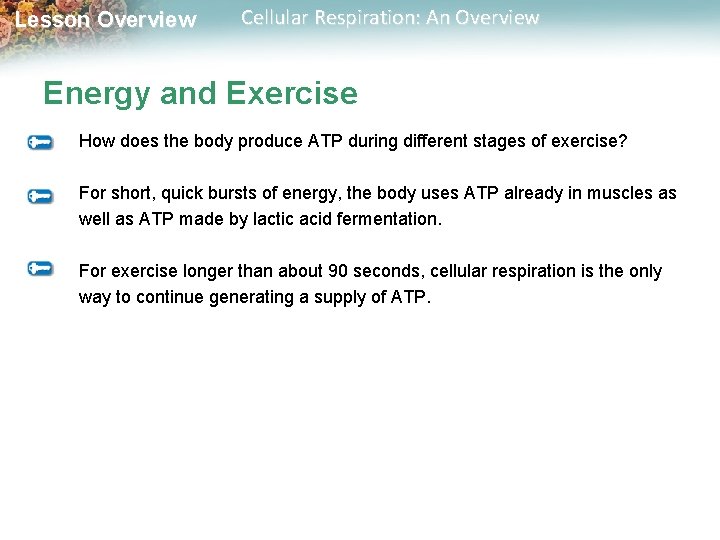 Lesson Overview Cellular Respiration: An Overview Energy and Exercise How does the body produce