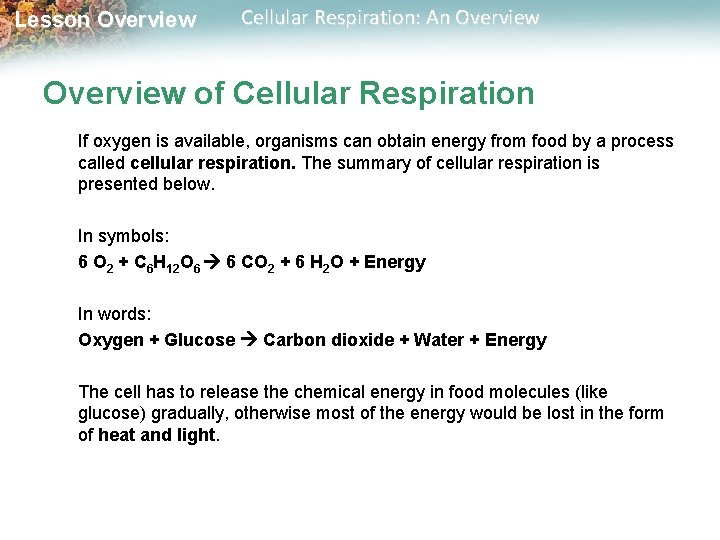 Lesson Overview Cellular Respiration: An Overview of Cellular Respiration If oxygen is available, organisms