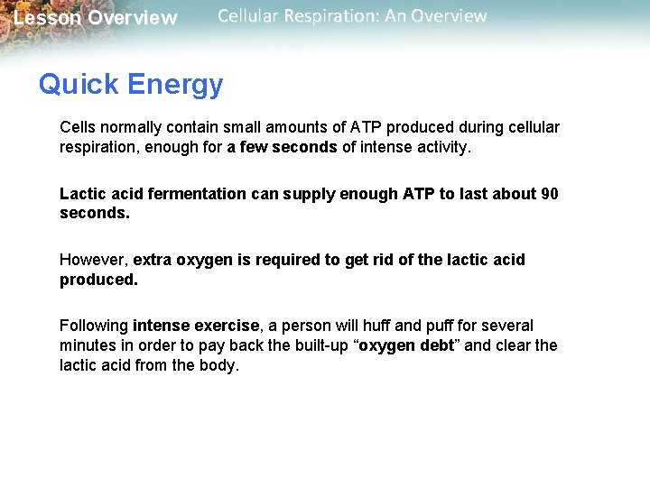 Lesson Overview Cellular Respiration: An Overview Quick Energy Cells normally contain small amounts of
