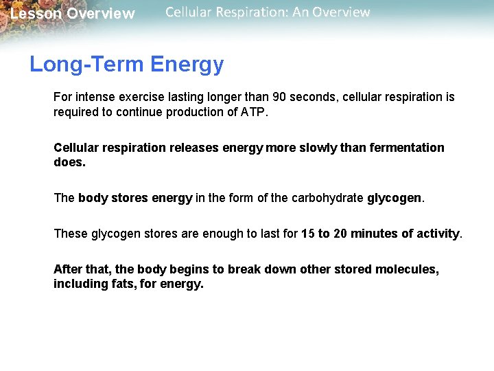 Lesson Overview Cellular Respiration: An Overview Long-Term Energy For intense exercise lasting longer than