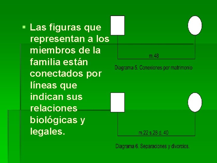 § Las figuras que representan a los miembros de la familia están conectados por