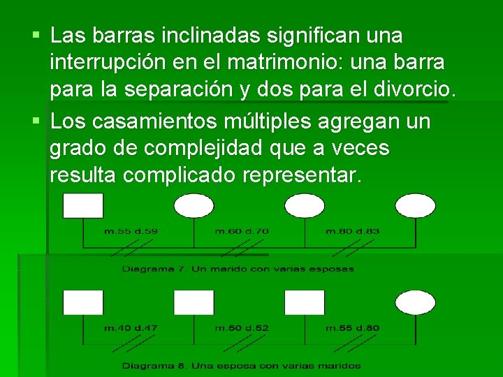 § Las barras inclinadas significan una interrupción en el matrimonio: una barra para la