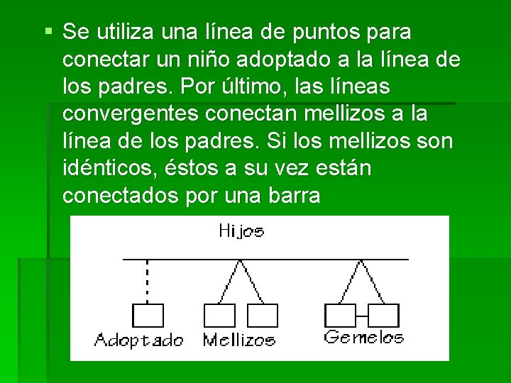 § Se utiliza una línea de puntos para conectar un niño adoptado a la