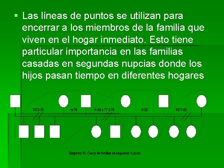 § Las líneas de puntos se utilizan para encerrar a los miembros de la