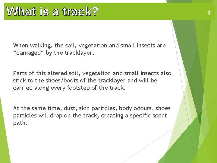 What is a track? When walking, the soil, vegetation and small insects are “damaged“