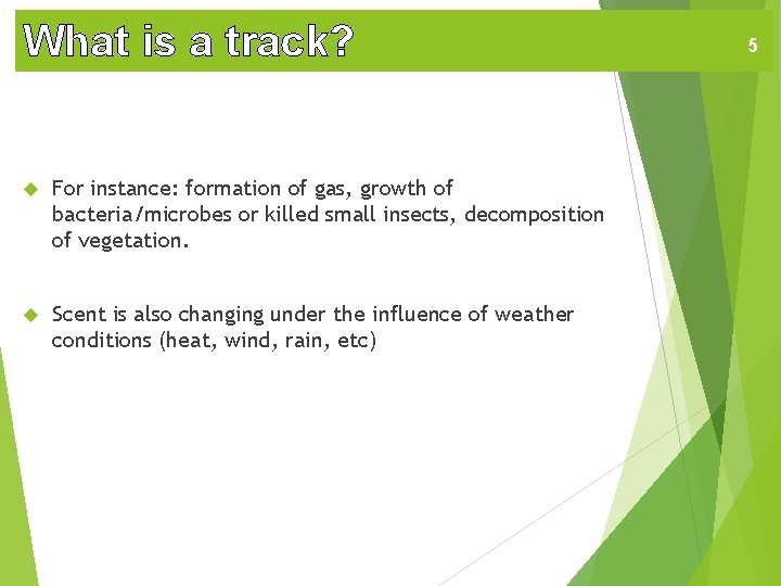 What is a track? For instance: formation of gas, growth of bacteria/microbes or killed