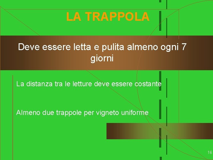 LA TRAPPOLA Deve essere letta e pulita almeno ogni 7 giorni La distanza tra