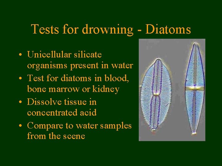 Tests for drowning - Diatoms • Unicellular silicate organisms present in water • Test