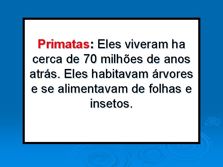 Primatas: Eles viveram ha cerca de 70 milhões de anos atrás. Eles habitavam árvores