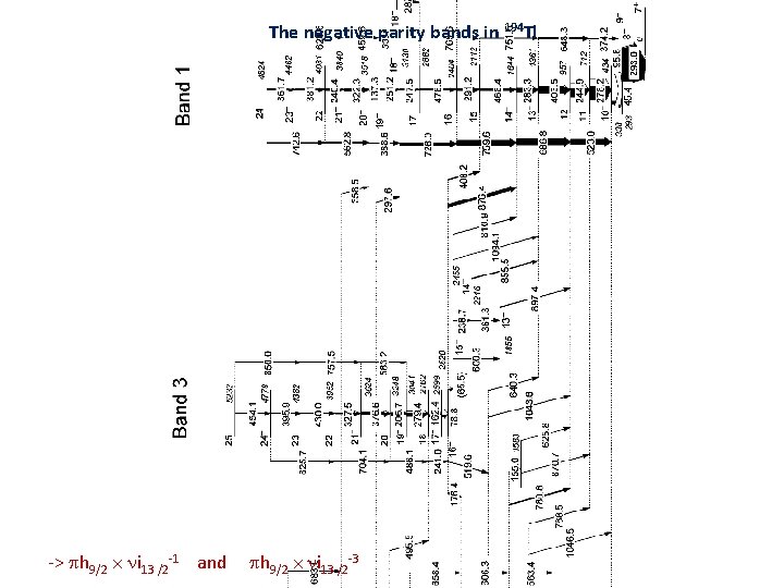 The negative parity bands in 194 Tl -> h 9/2 i 13 /2 -1