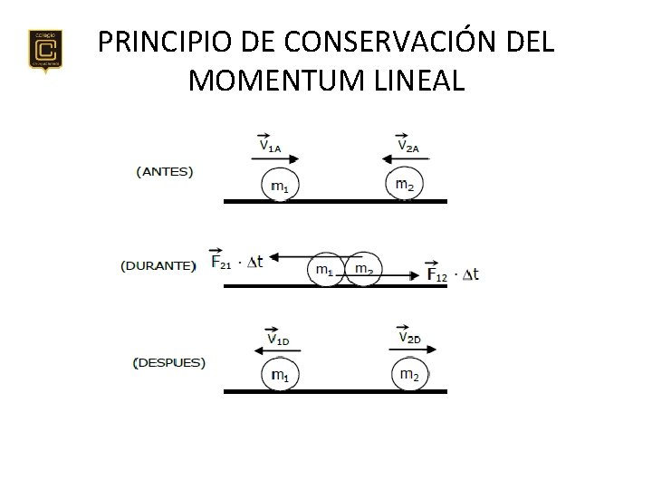 PRINCIPIO DE CONSERVACIÓN DEL MOMENTUM LINEAL 