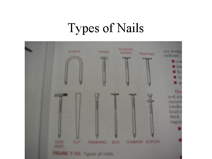 Types of Nails 