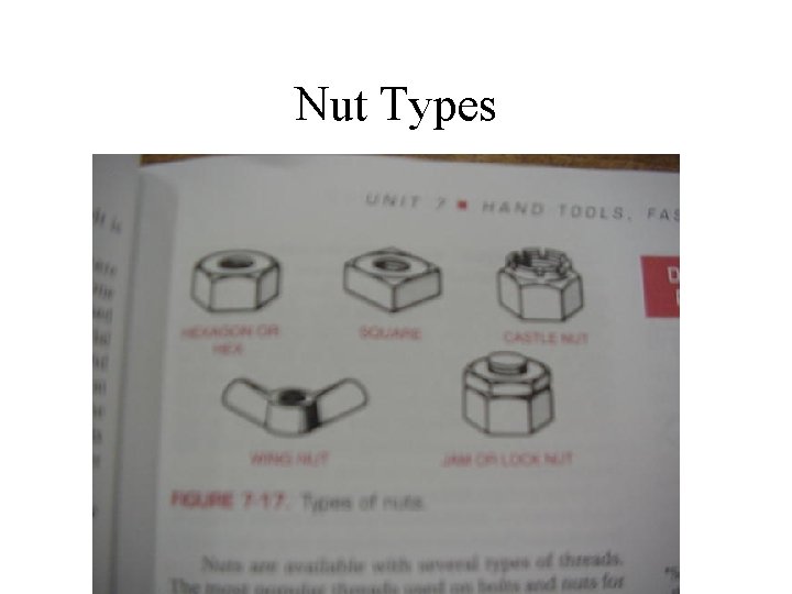 Nut Types 