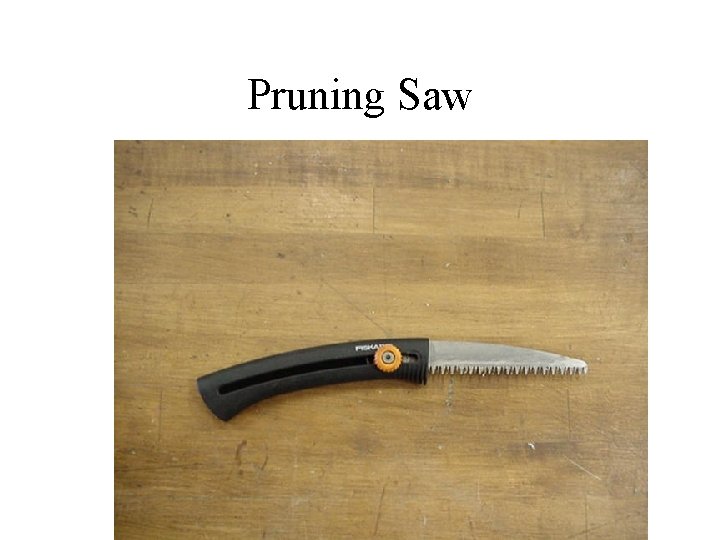 Pruning Saw 