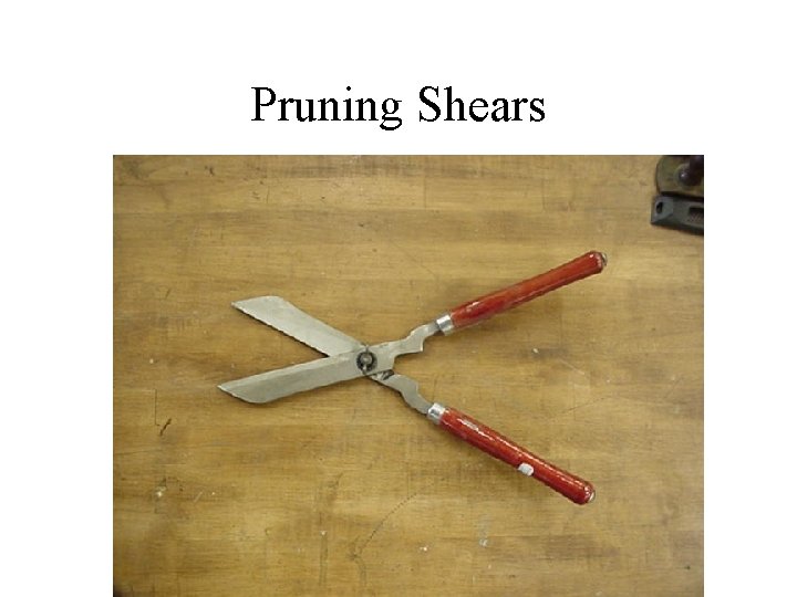 Pruning Shears 
