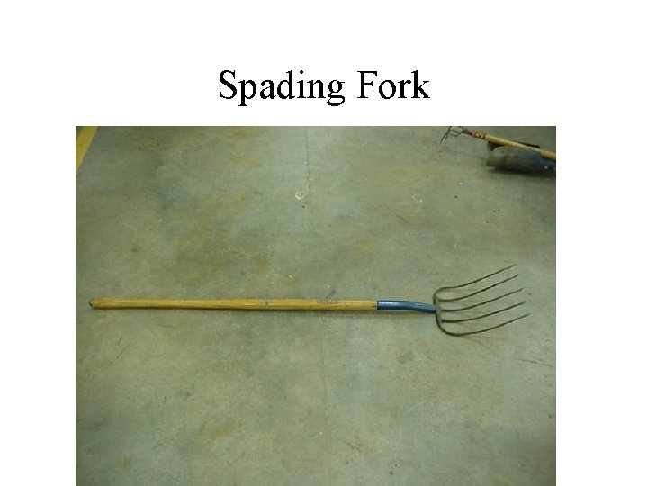 Spading Fork 