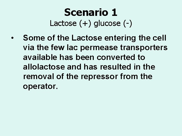 Scenario 1 Lactose (+) glucose (-) • Some of the Lactose entering the cell