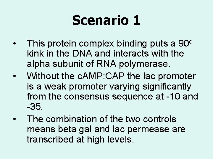 Scenario 1 • • • This protein complex binding puts a 90 o kink