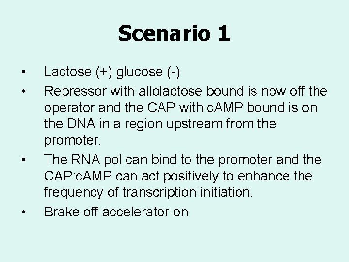 Scenario 1 • • Lactose (+) glucose (-) Repressor with allolactose bound is now