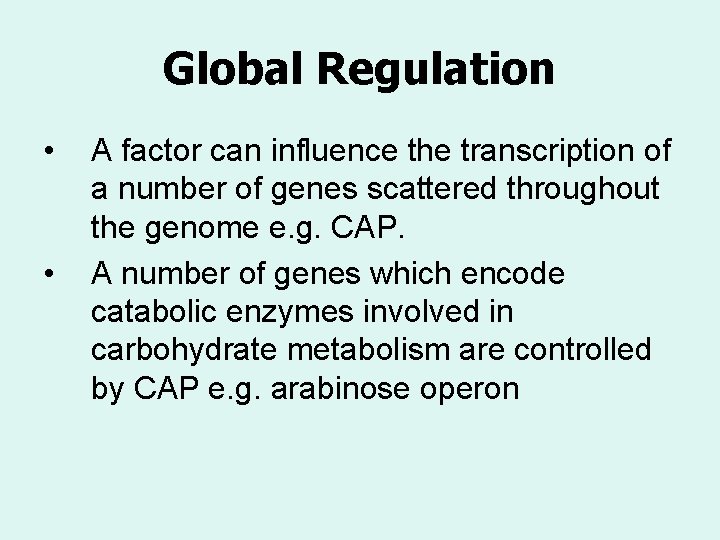 Global Regulation • • A factor can influence the transcription of a number of