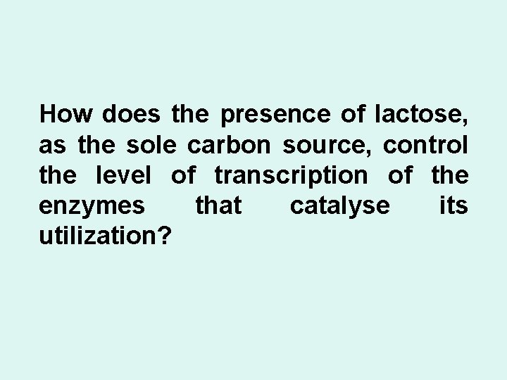 How does the presence of lactose, as the sole carbon source, control the level