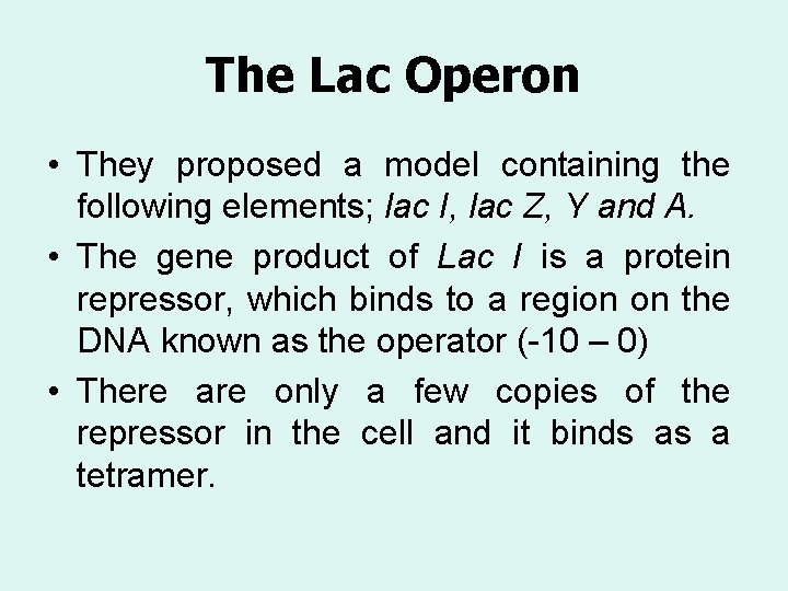 The Lac Operon • They proposed a model containing the following elements; lac I,