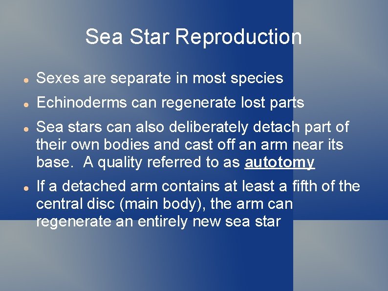 Sea Star Reproduction Sexes are separate in most species Echinoderms can regenerate lost parts