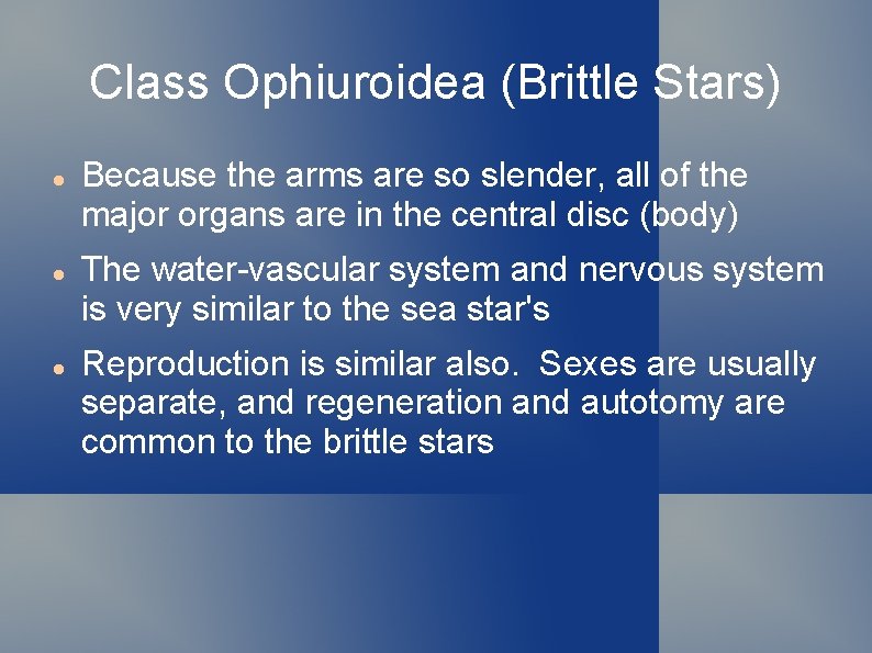 Class Ophiuroidea (Brittle Stars) Because the arms are so slender, all of the major