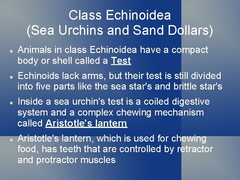 Class Echinoidea (Sea Urchins and Sand Dollars) Animals in class Echinoidea have a compact